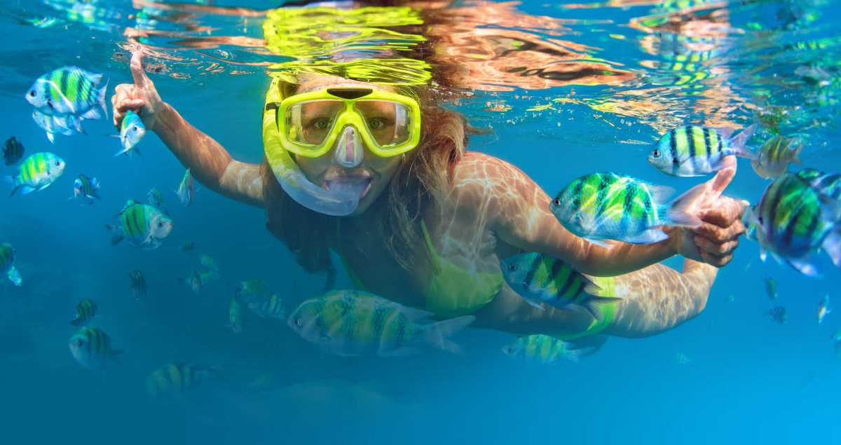 Marathon Snorkeling Tours Florida Keys Saltwater Seafari