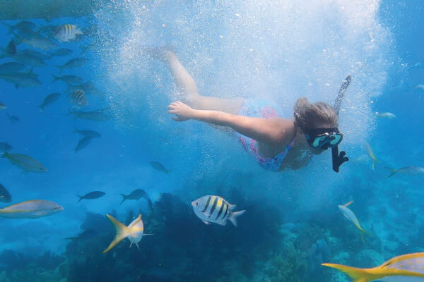 looe key snorkeling trip guest discovering the beautiful underwater